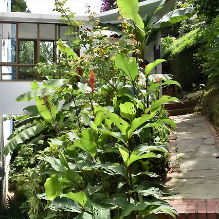 Playa De Appartement